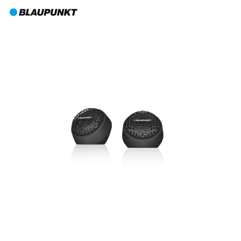 德國藍寶（BLAUPUNKT）BGx 6652 C20 兩分頻套裝喇叭